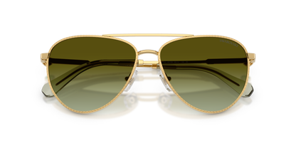 SWAROVSKI SK7031 4017E8 59