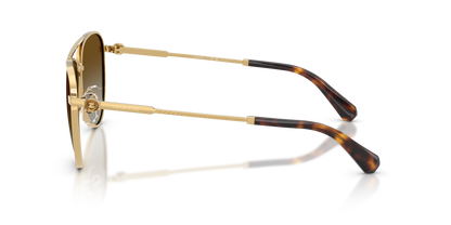 SWAROVSKI SK7031 4037T5 59