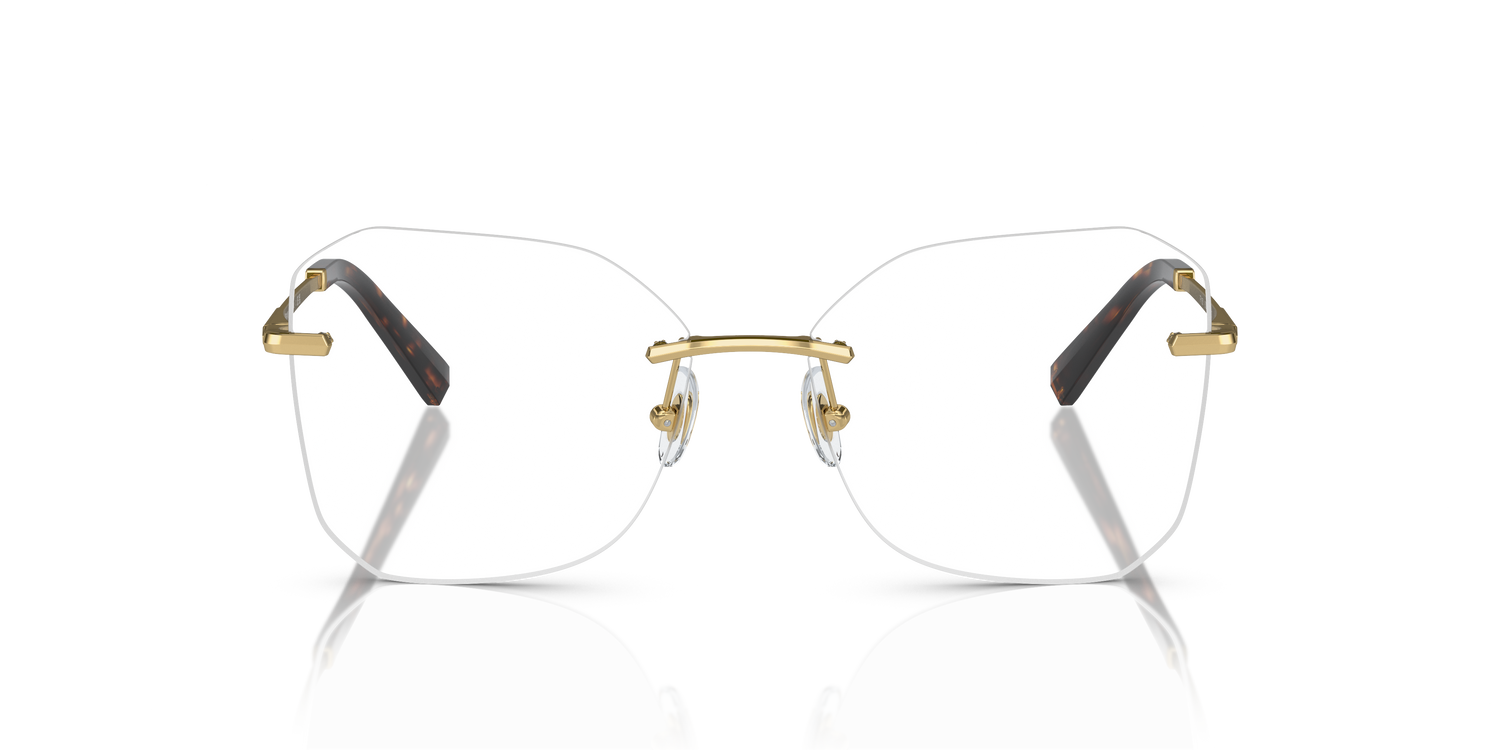 TIFFANY TF1150 6002 55