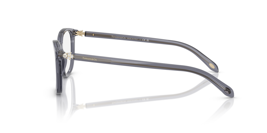 TIFFANY TF2109HB 8405 53