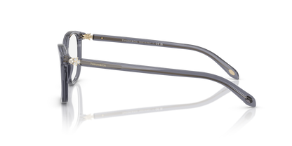 TIFFANY TF2109HB 8405 53