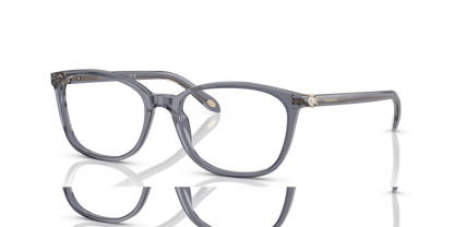 TIFFANY TF2109HB 8405 53