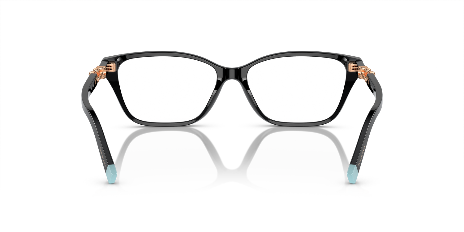 TIFFANY TF2229 8420 53