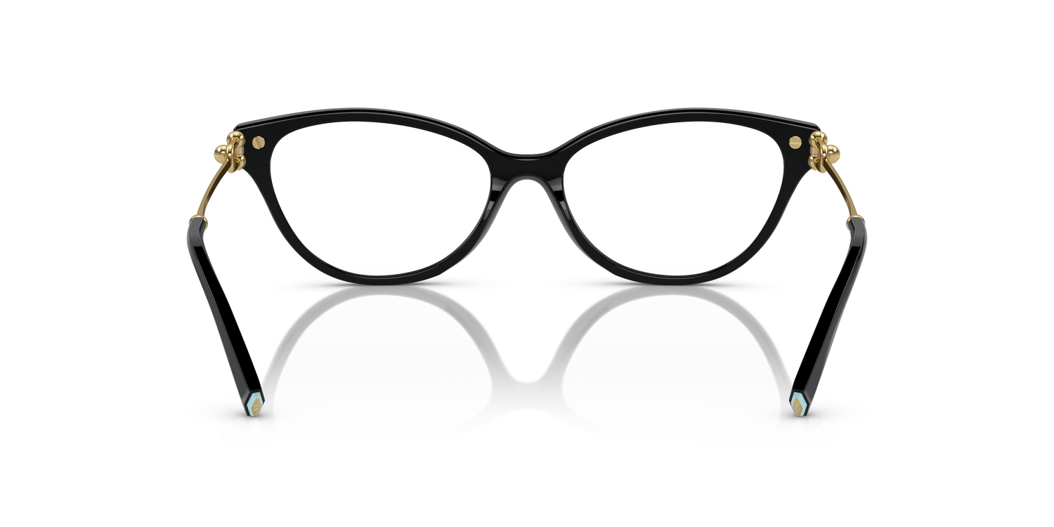 TIFFANY TF2231 8001 54