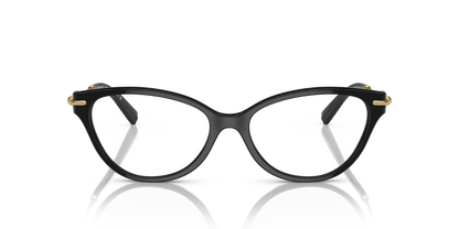 TIFFANY TF2231 8001 54