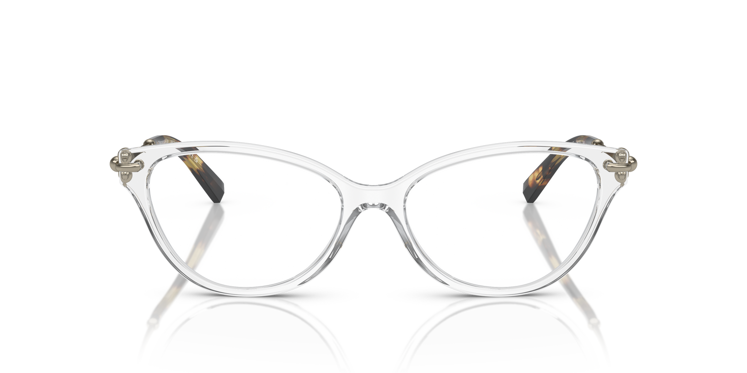 TIFFANY TF2231 8047 54