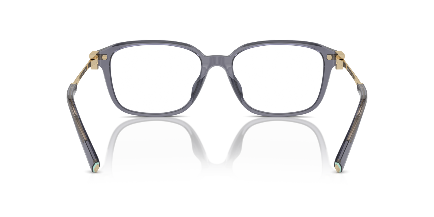 TIFFANY TF2253D 8405 54