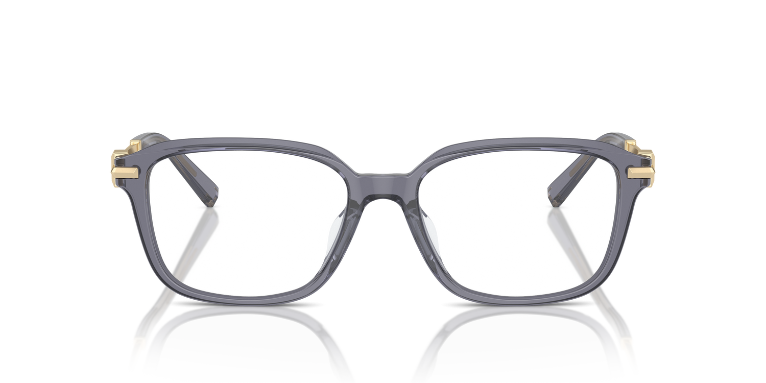 TIFFANY TF2253D 8405 54