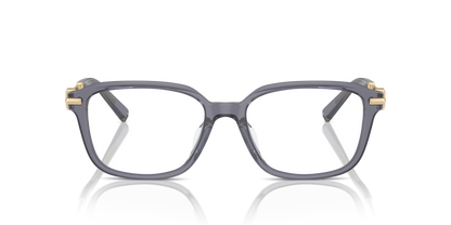 TIFFANY TF2253D 8405 54