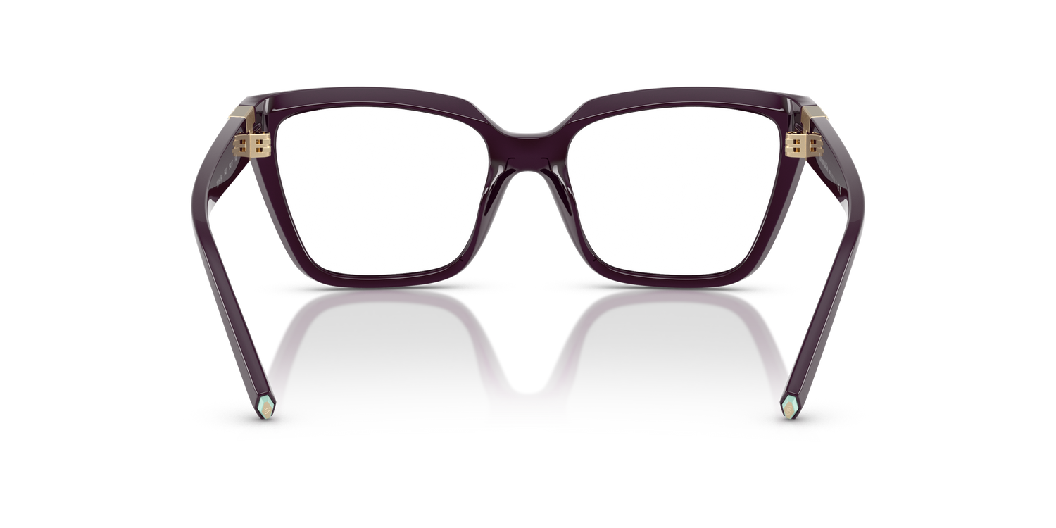 TIFFANY TF2257BU 8427 52