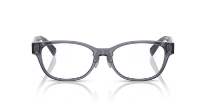 TIFFANY TF2263D 8405 53