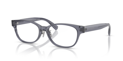 TIFFANY TF2263D 8405 53