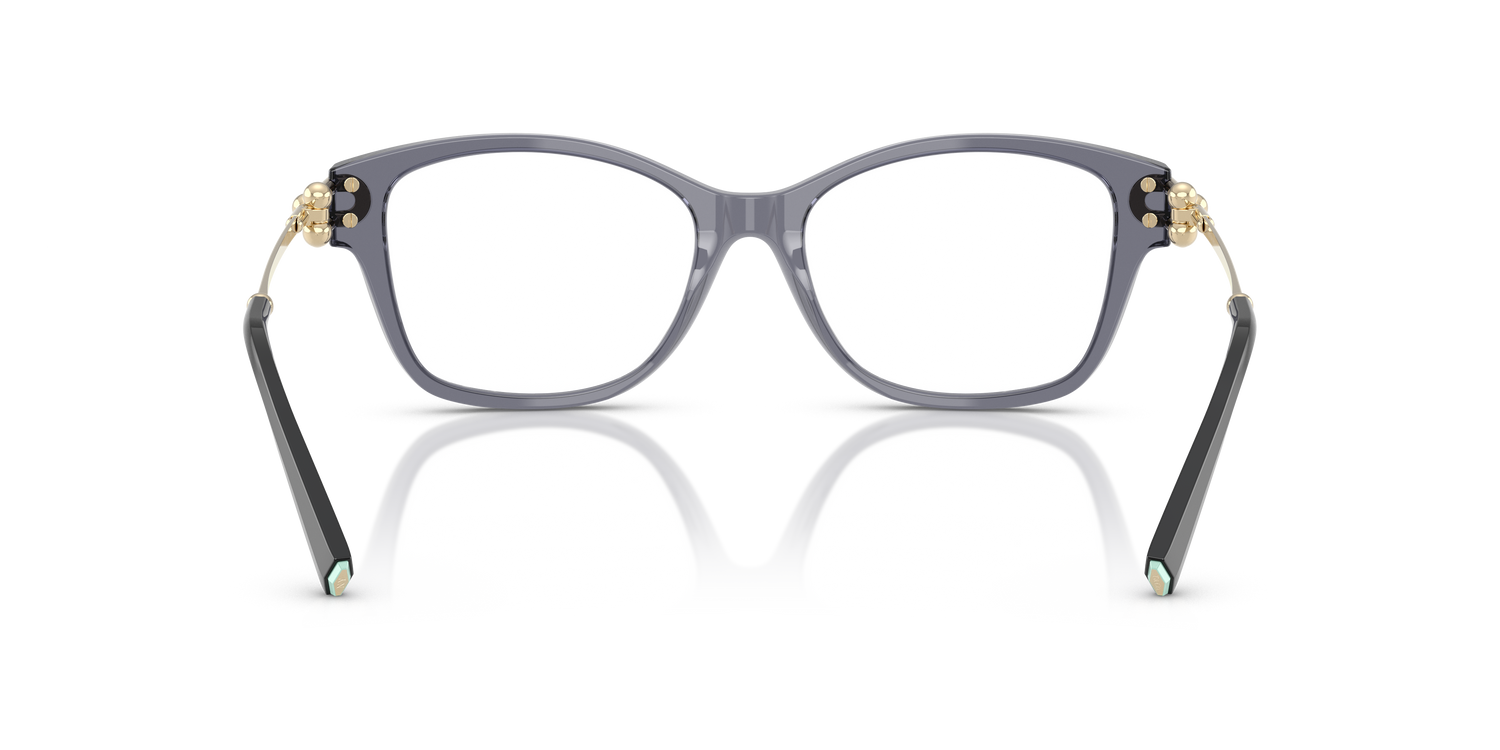 TIFFANY TF2266 8405 53