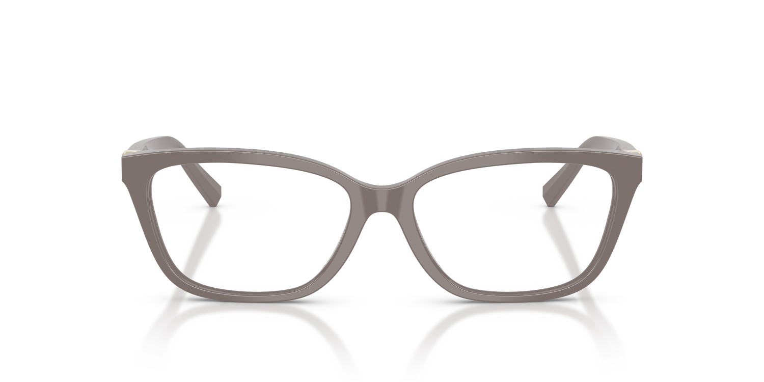 TIFFANY TF2282 8401 53