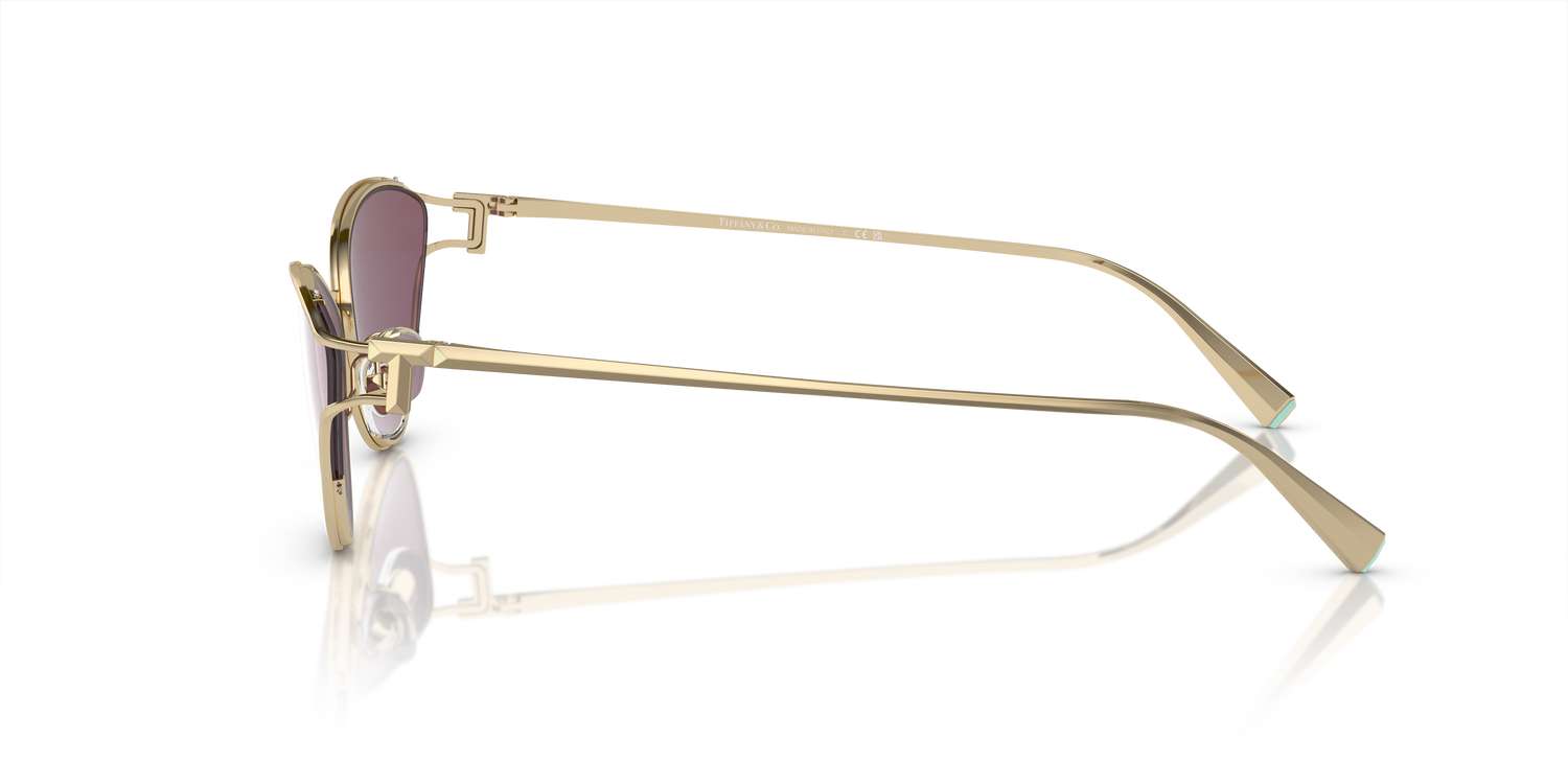 TIFFANY TF3095 6194AK 61