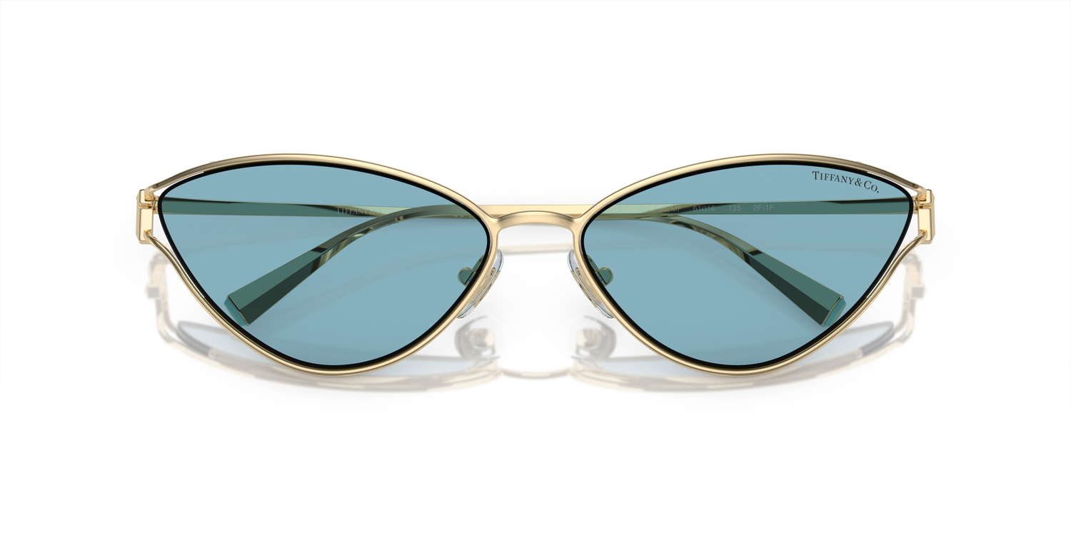 TIFFANY TF3095 6196MF 61