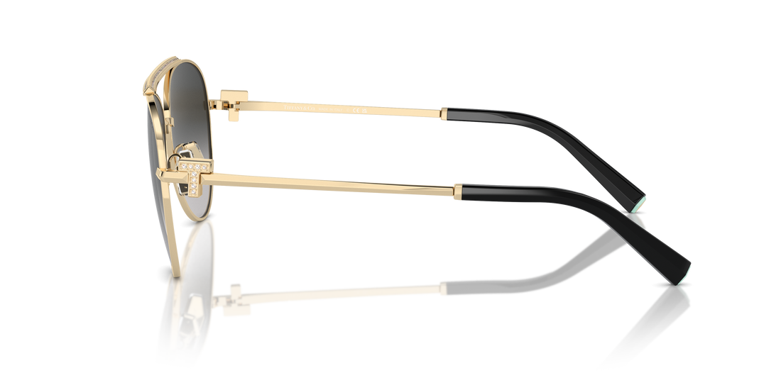 TIFFANY TF3101B 60213C 59