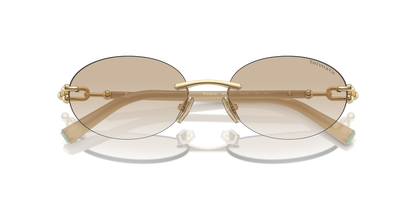 TIFFANY TF3104D 617811 56