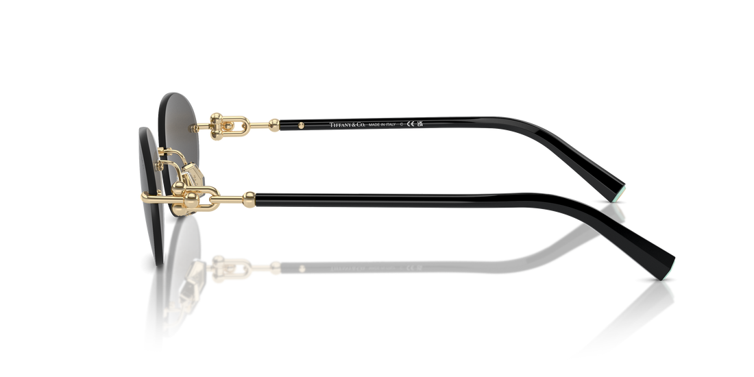 TIFFANY TF3104D 6216S4 56