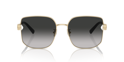 TIFFANY TF3105D 6021S4 58