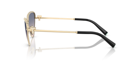 TIFFANY TF3107KB 622116 59