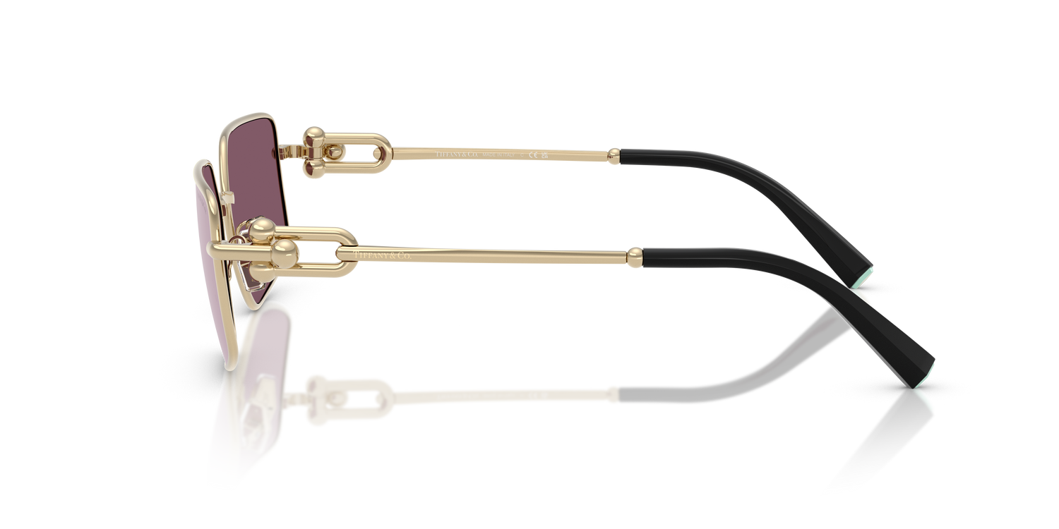 TIFFANY TF3111 6194AK 58