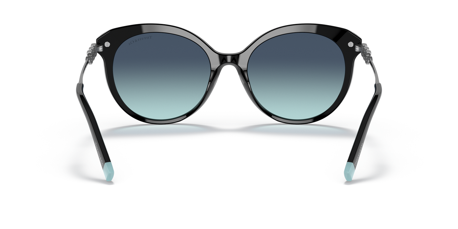 TIFFANY TF4189B 80019S 55