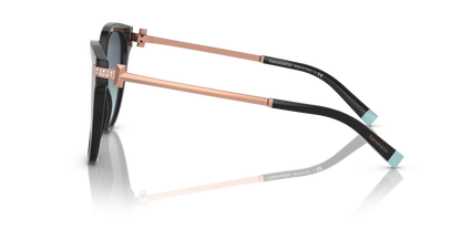 TIFFANY TF4193B 80019S 55