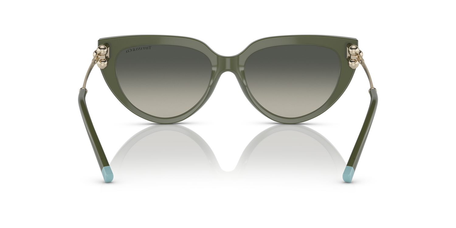 TIFFANY TF4195 835811 54