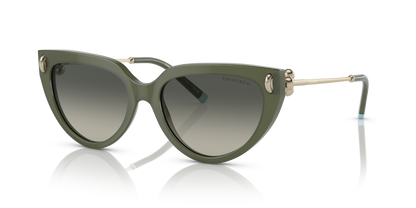 TIFFANY TF4195 835811 54