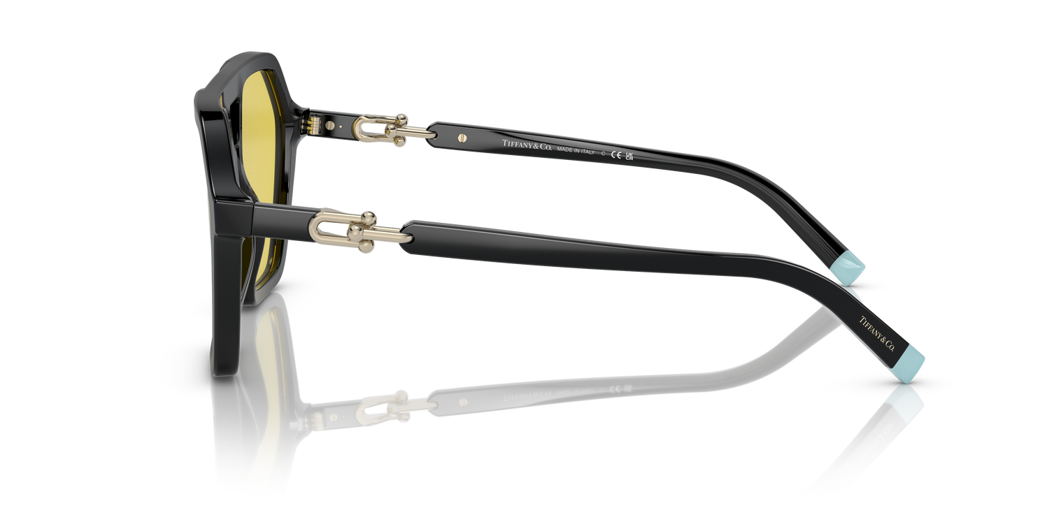 TIFFANY TF4198 800185 58