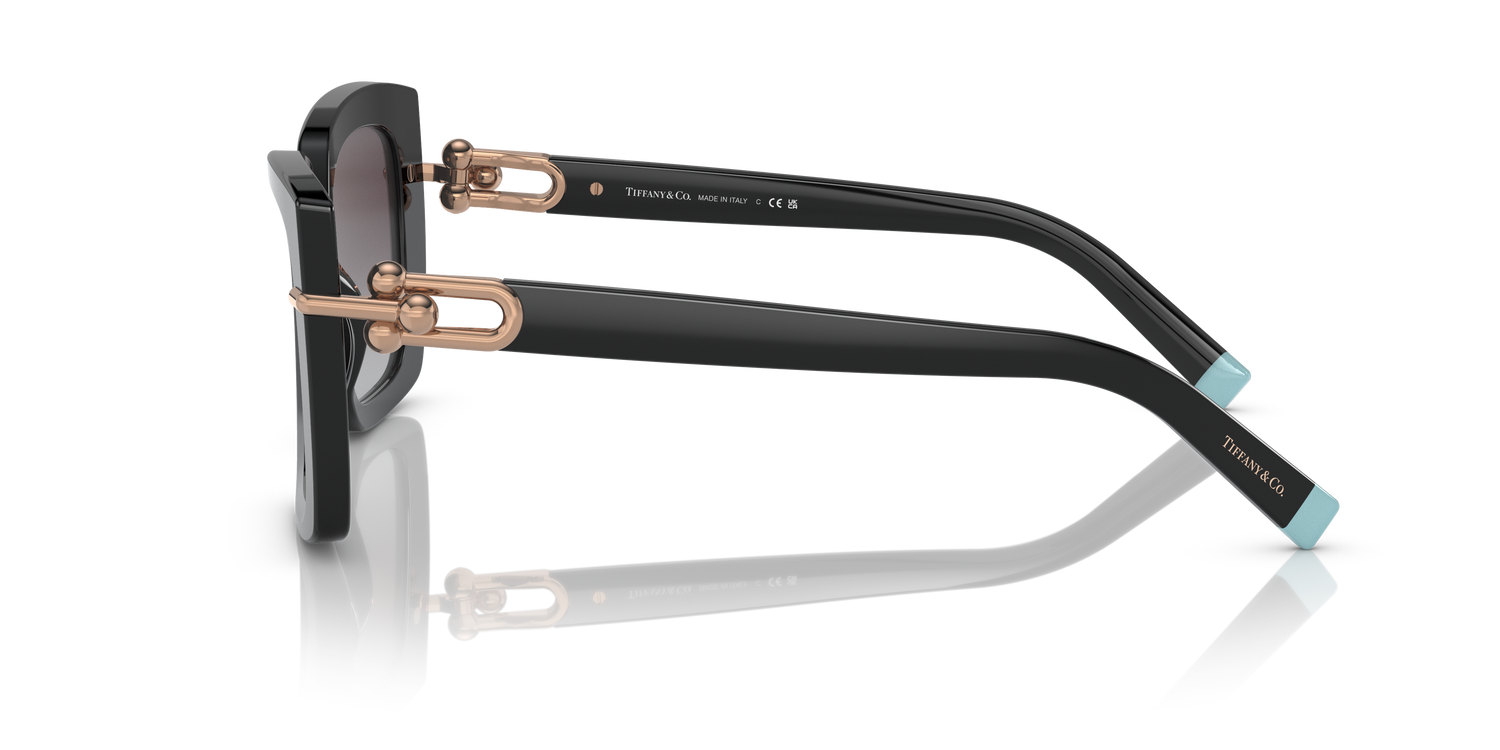 TIFFANY TF4199 80013C 53
