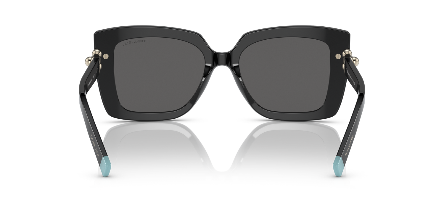 TIFFANY TF4199 8001S4 53