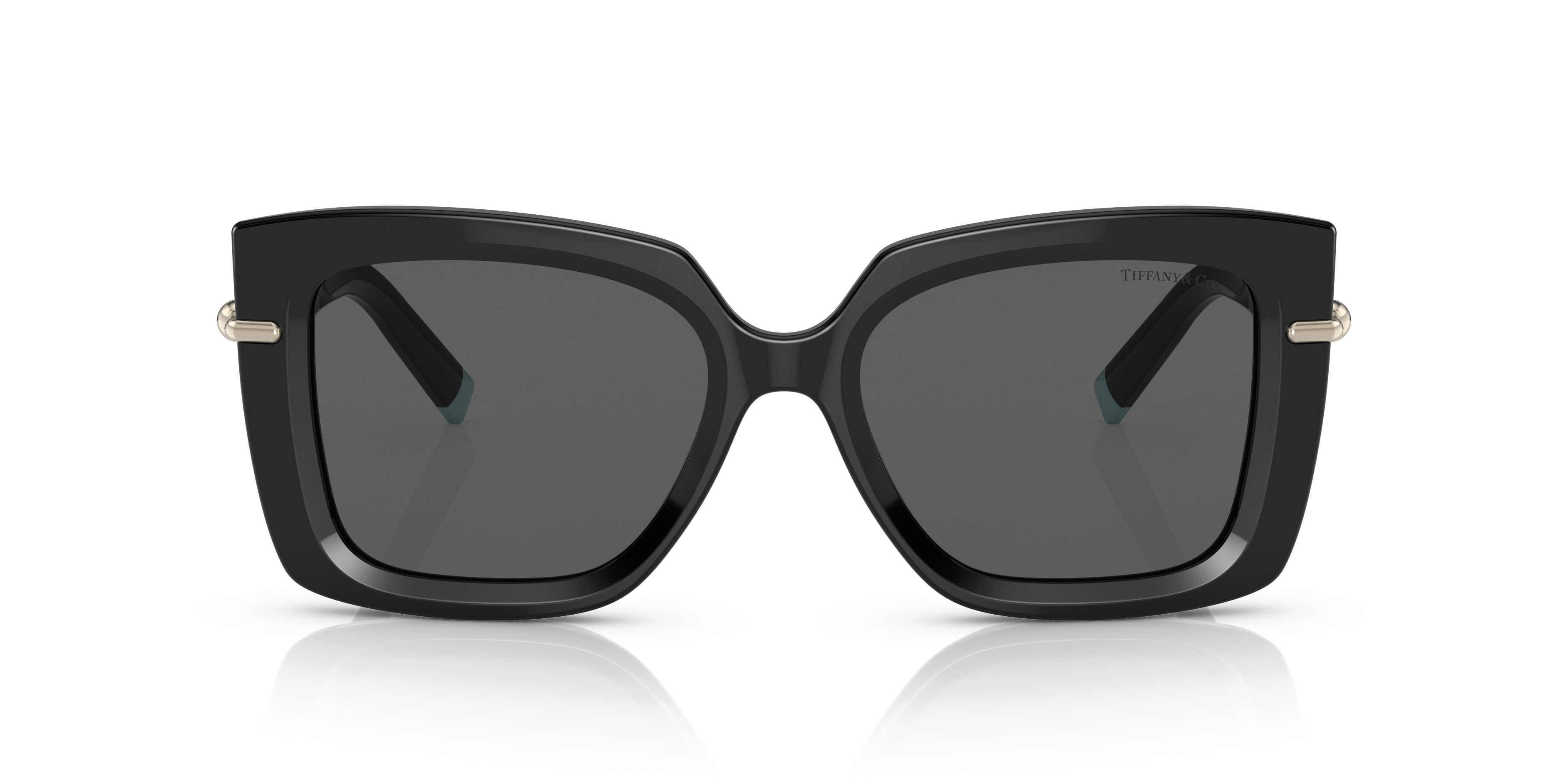 TIFFANY TF4199 8001S4 53