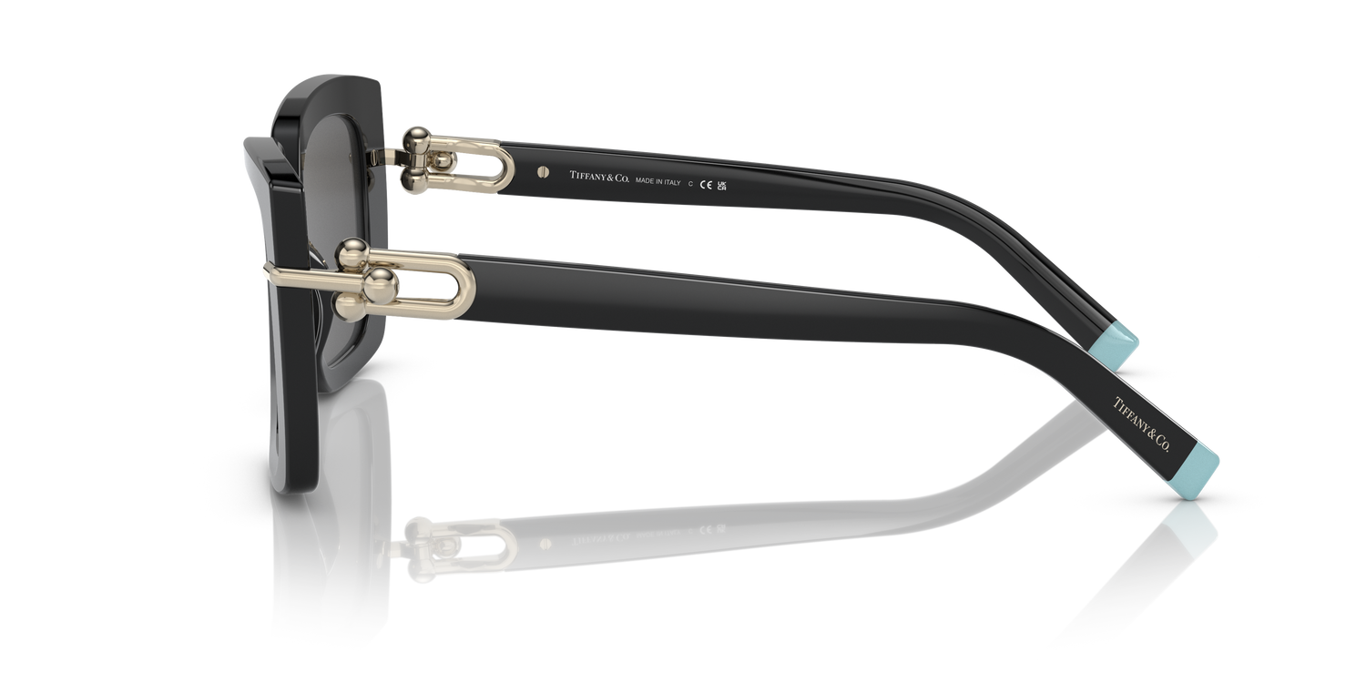 TIFFANY TF4199 8001S4 53