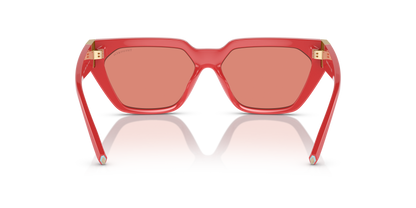 TIFFANY TF4205U 837084 56