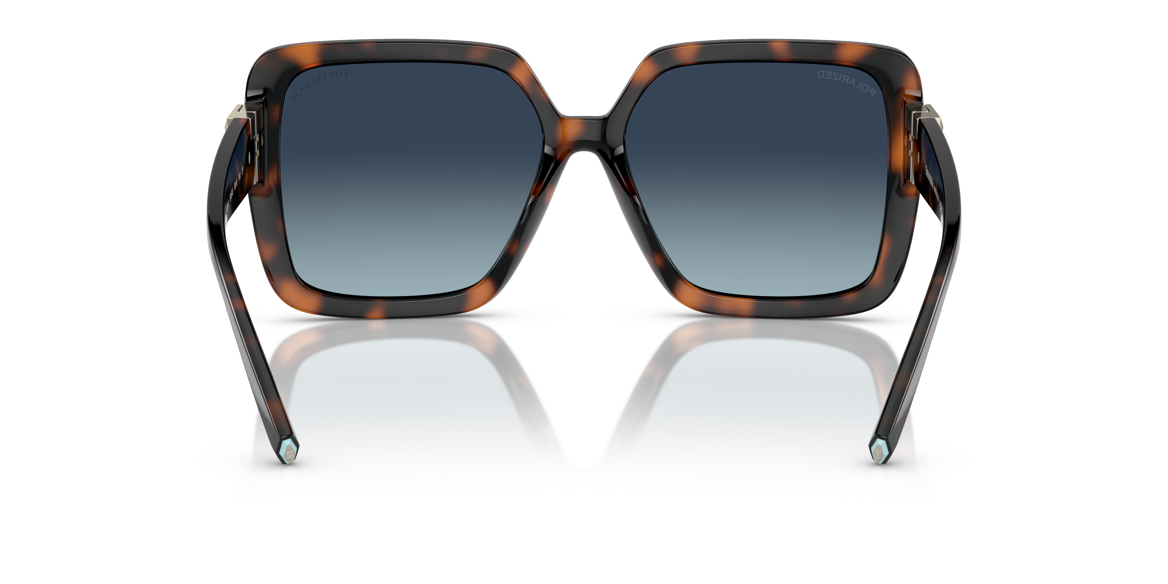 TIFFANY TF4206U 80154U 58