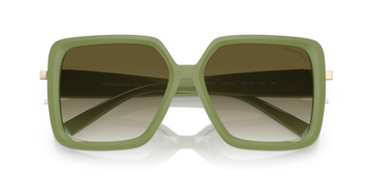 TIFFANY TF4206U 83687Z 58