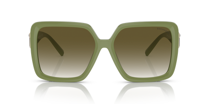 TIFFANY TF4206U 83687Z 58