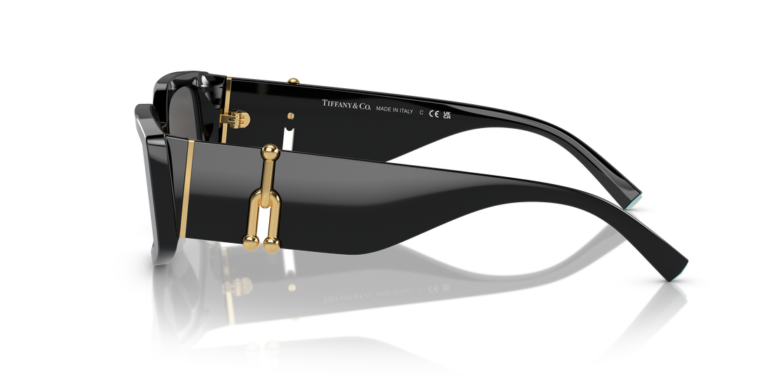 TIFFANY TF4208U 8001S4 54