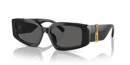 TIFFANY TF4208U 8001S4 54