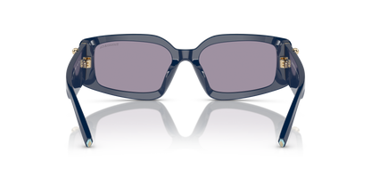 TIFFANY TF4208U 83852S 54