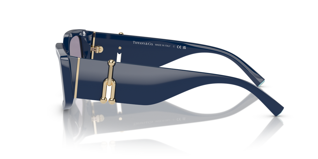 TIFFANY TF4208U 83852S 54