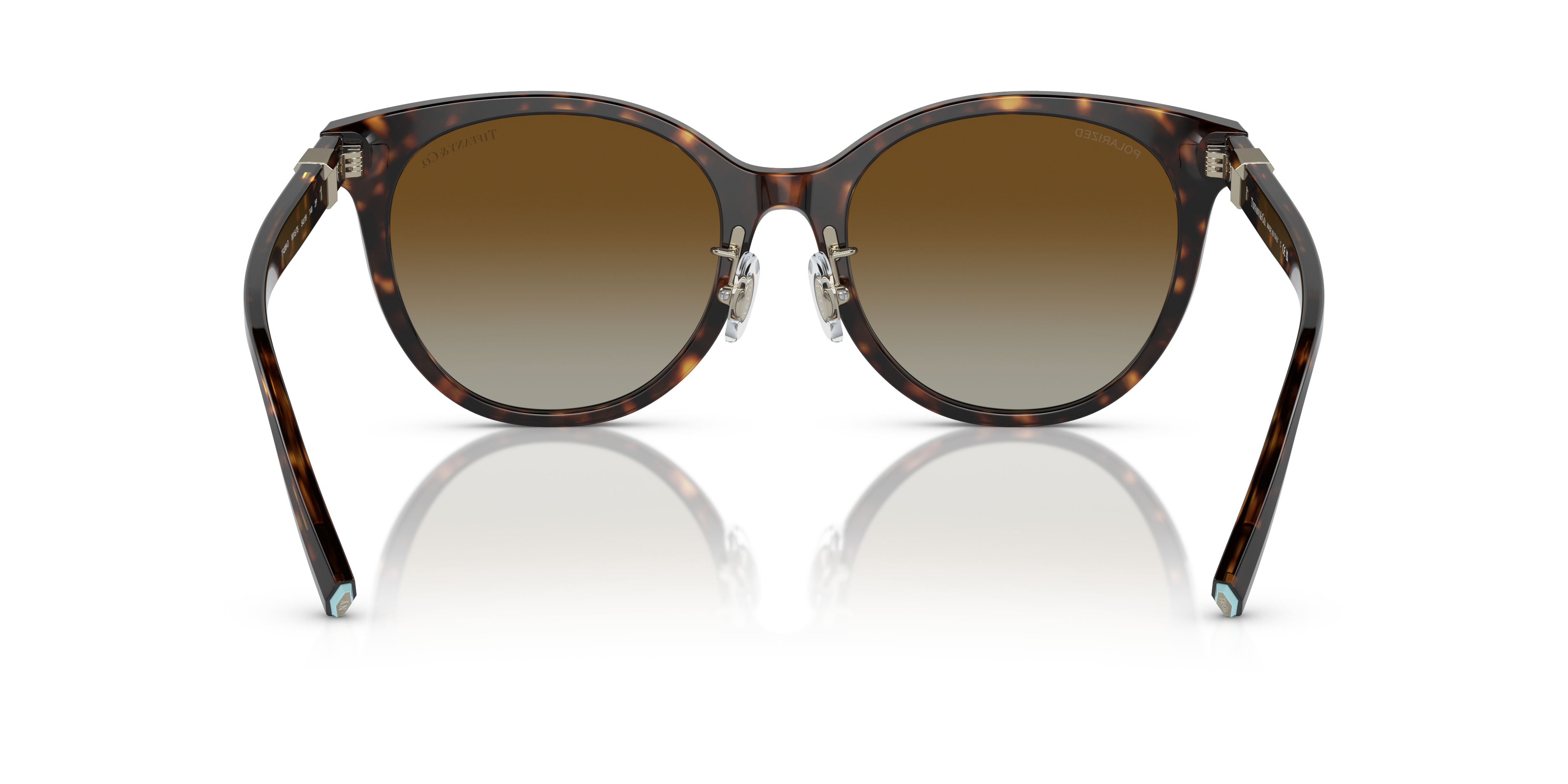 TIFFANY TF4209D 8015T5 54