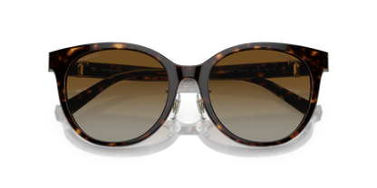 TIFFANY TF4209D 8015T5 54