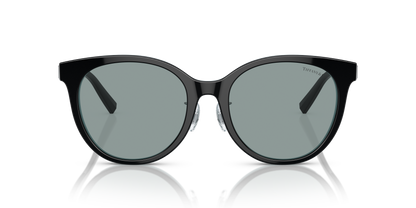 TIFFANY TF4209D 8055/1 54