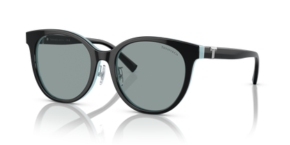 TIFFANY TF4209D 8055/1 54