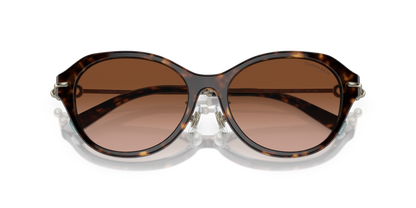 TIFFANY TF4210D 80153B 54