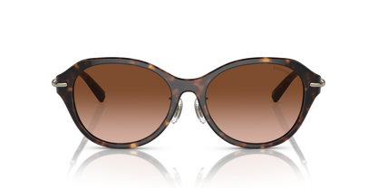 TIFFANY TF4210D 80153B 54