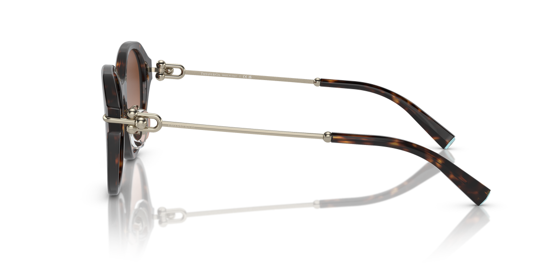 TIFFANY TF4210D 80153B 54